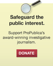 Safeguard the Public Interest: DONATE
