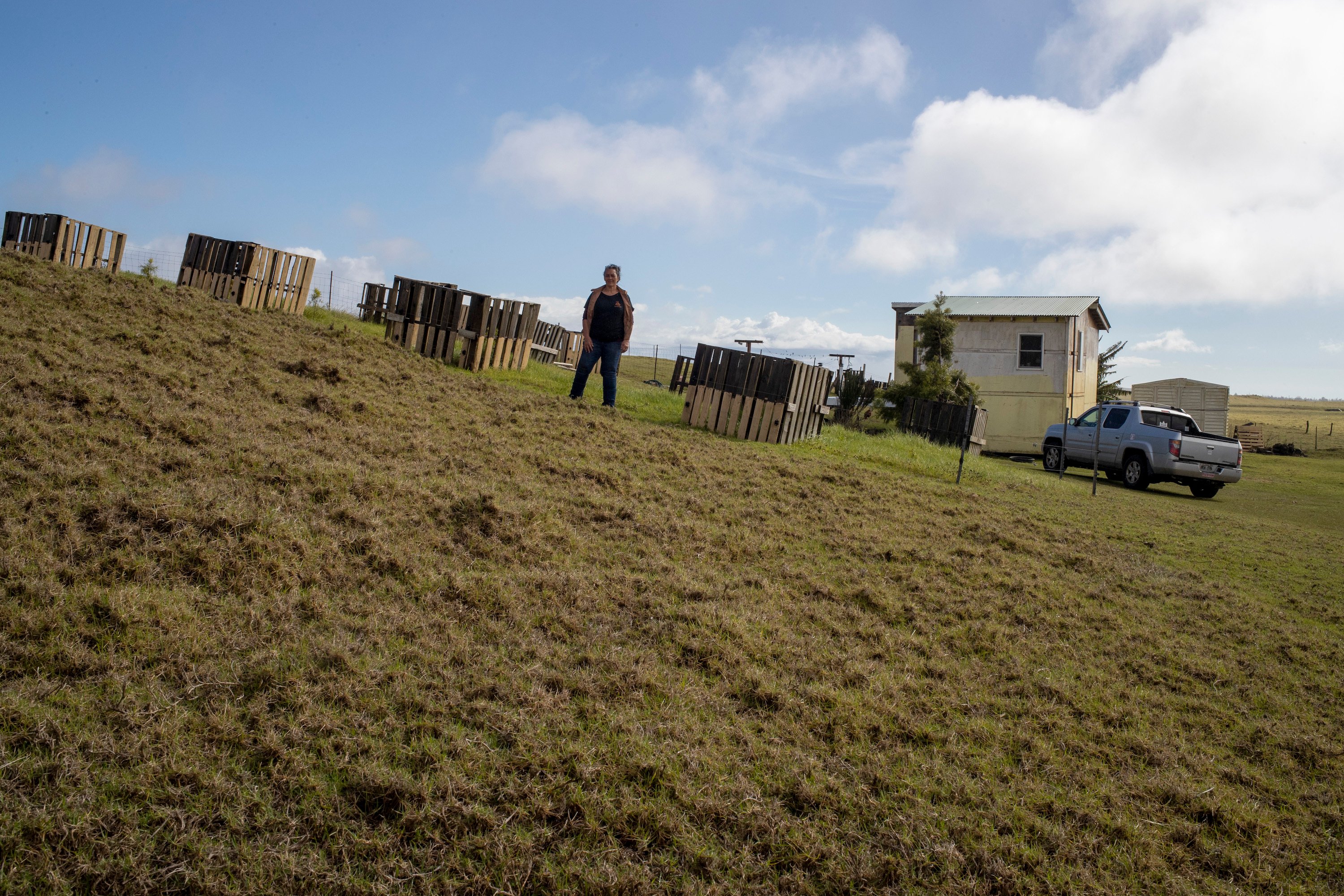 A woman stands in a row of wood pallets on a grassy lawn.