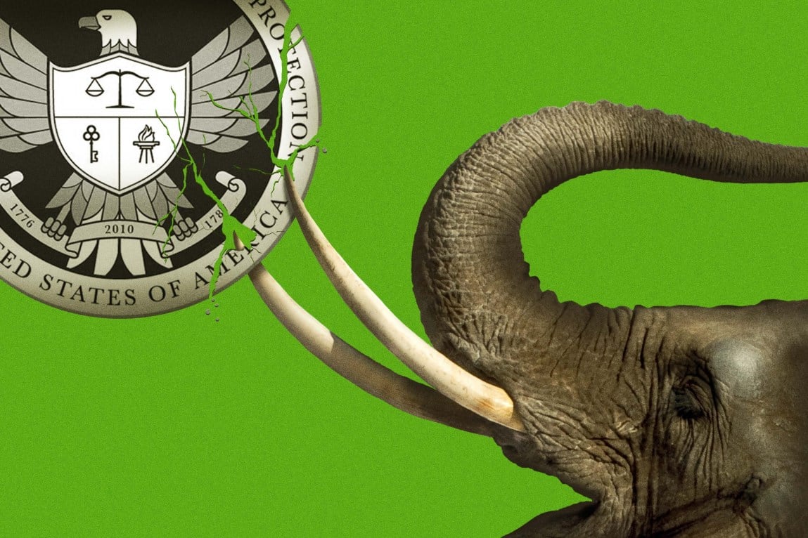 An elephant’s tusks pierce the seal of the Consumer Financial Protection Bureau.