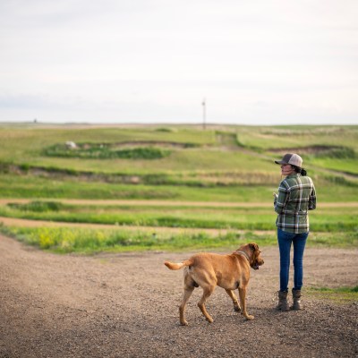 Lawmaker Calls for Stronger Mandatory Reporting Rules Following Our Investigation Into Church Abuse Case %