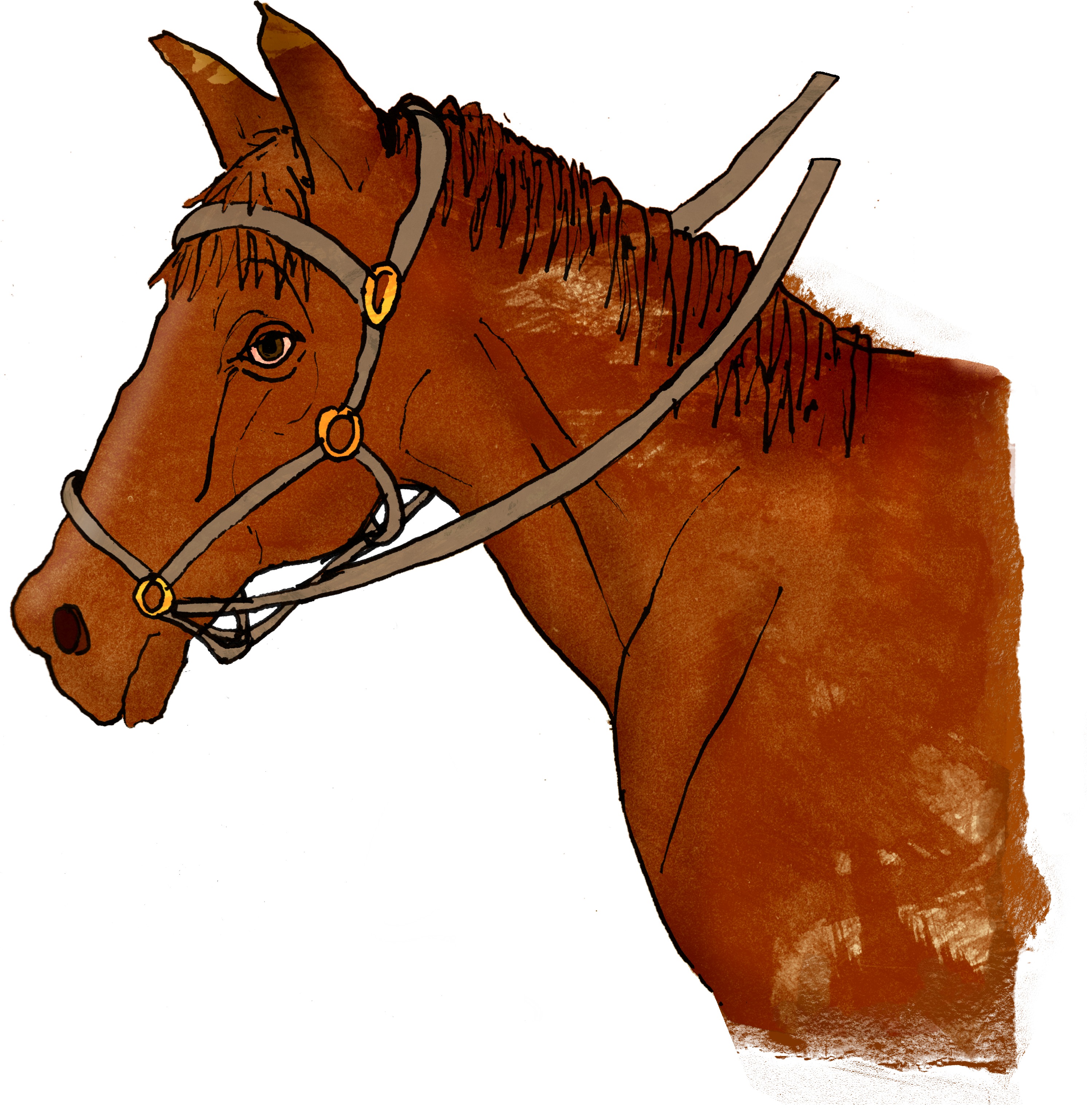 An illustration of a brown horse’s head and neck, wearing a bridle with reins, against a plain white background.